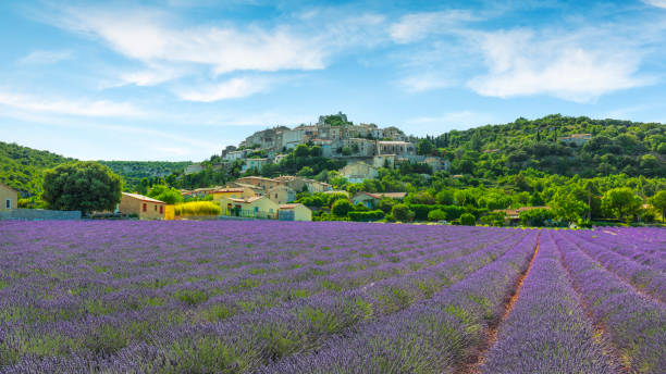 rando Reillanne luberon - Green Luberon