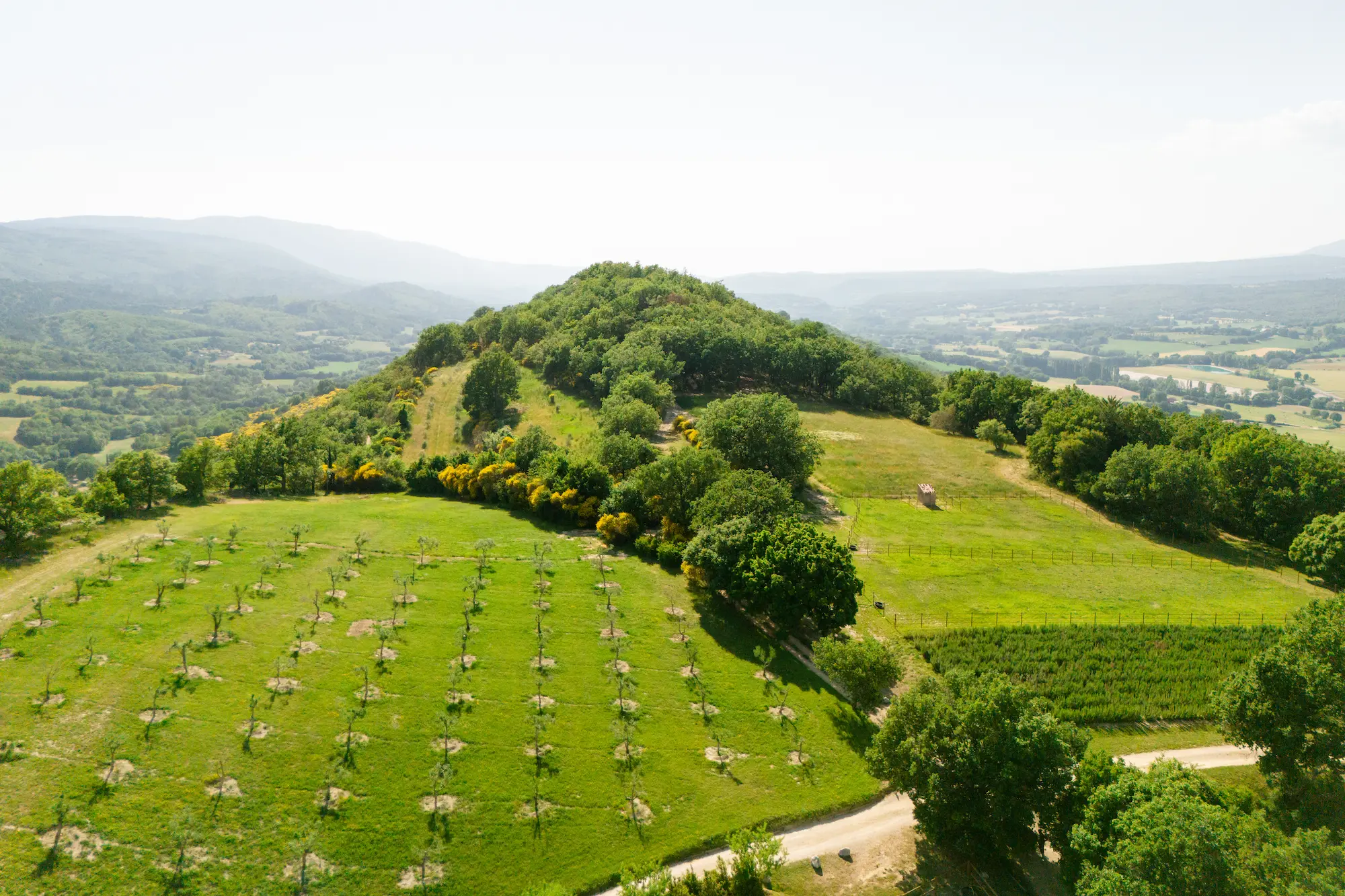 Green Luberon Domain