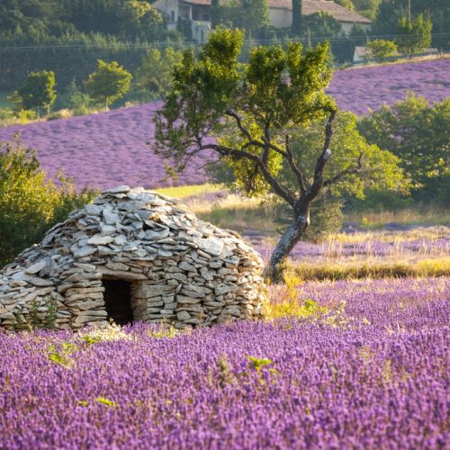 Borie - dry-stoned "house", Sault region, Vaucluse, Provence, France