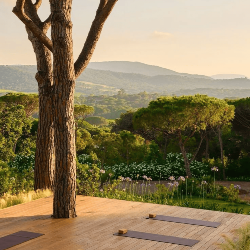 Green Luberon Domain - 15 (1)