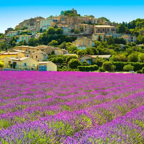 simiane-la-rotonde-village-and-lavender-provence-2026-03-19-09-28-43-utc